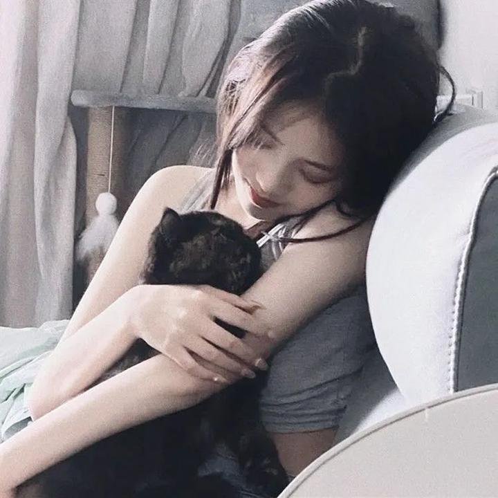 我的英雄学院最终季 在线观看